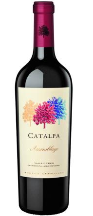 Catalpa Assemblage 6x750cc.